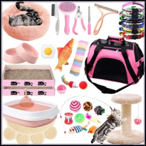 Kitten Starter Kit: Indoor Cat Essentials